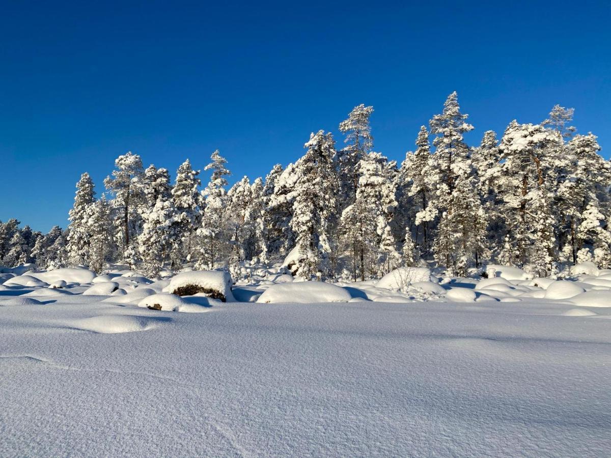 Norlight Cottages Ivalo - Tuli 外观 照片