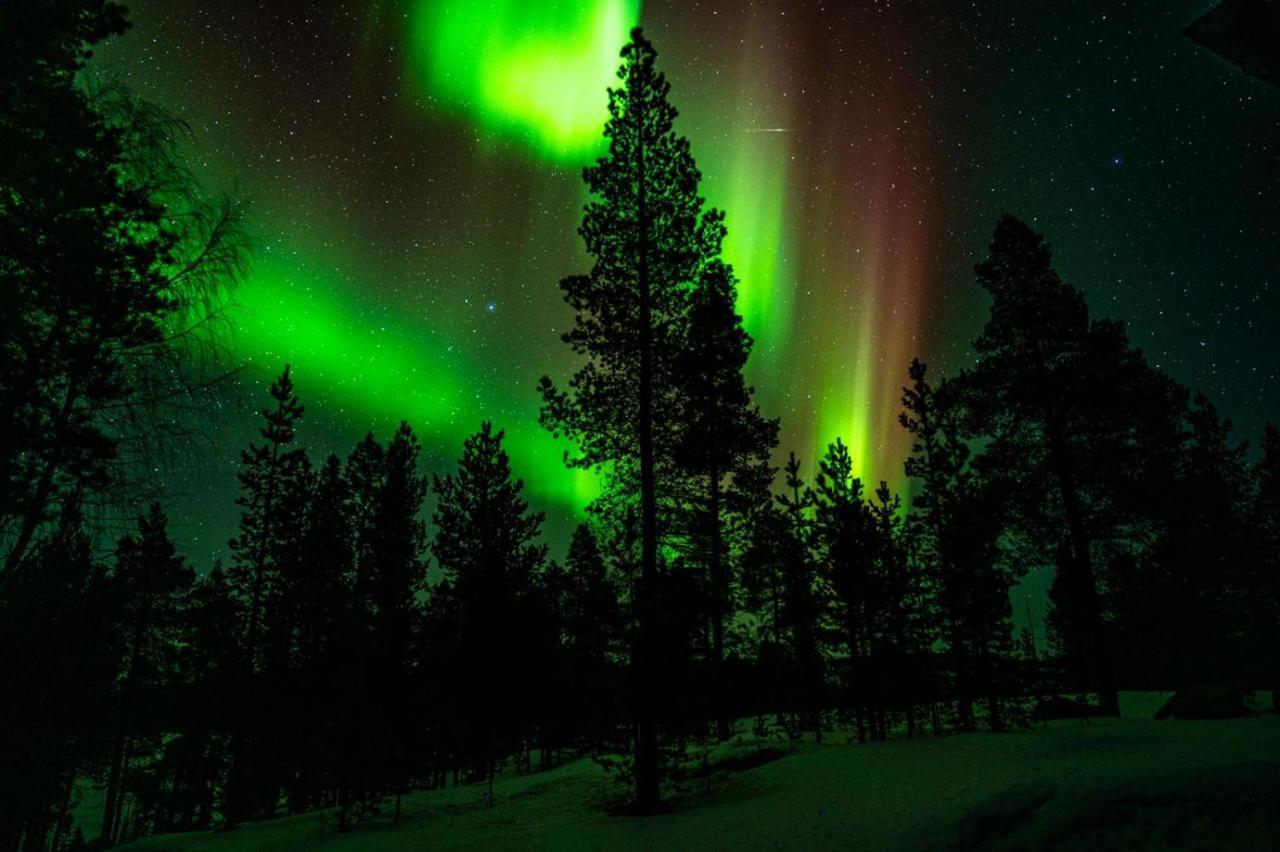 Norlight Cottages Ivalo - Tuli 外观 照片